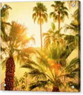 Palm Trees Palm Springs California 0492-100 Acrylic Print