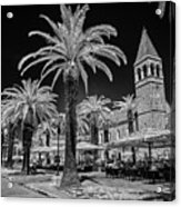 Palms Along Trogir Promenade Acrylic Print