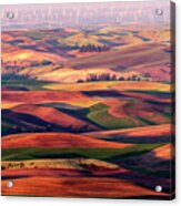 Palouse Morning Acrylic Print