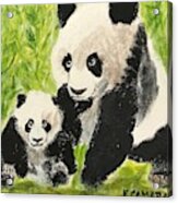 Pandas Acrylic Print