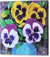 Pansies In Turquoise Pot Acrylic Print