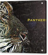 Panthera Tigris Acrylic Print
