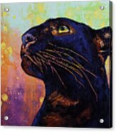 Panther Colors Acrylic Print