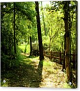 Path Out Of Summer Acrylic Print