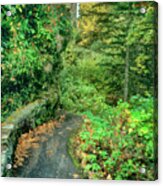 Pathway To Latourelle Falls Columbia River Gorge National Park Acrylic Print