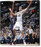 Pau Gasol Acrylic Print