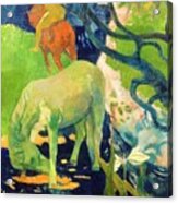 Paul Gauguin - The White Horse Acrylic Print