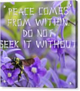 Peace Comes From Within Acrylic Print