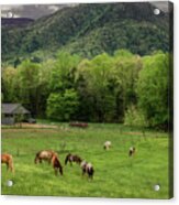 Peace In The Smokies, Painterly Acrylic Print