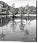 Peaceful Cypress Reflections In Black And White Acrylic Print
