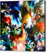 Peacock Acrylic Print