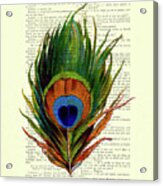 Peacock Feather On French Antique Book Page Acrylic Print