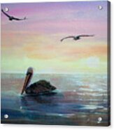 Pelican Beach Acrylic Print