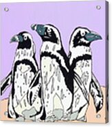 Penguins Acrylic Print