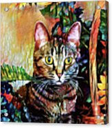 Pepper The Bengal Tabby Cat With Sunflowers Acrylic Print