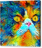 Persian Cat With Long Whiskers Close-up - Colorful Mosaic Acrylic Print