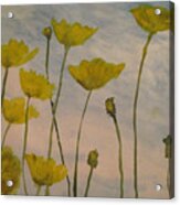 Petalled Yellow Acrylic Print