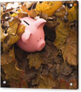 Piggy Bank On Leaves Acrylic Print