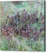 Pile Of Oak Leaves On The Emerald Green Grass Acrylic Print