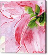 Pink Amaryllis Acrylic Print