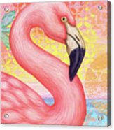 Pink Flamingo Abstract Acrylic Print