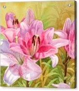 Pink Lilies Acrylic Print