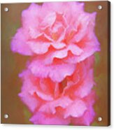 Pink Painterly Roses Against A Textured Background Acrylic Print