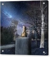 Pippin In The Moonlight Acrylic Print