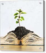 Plant Growing Out Of Open Book Acrylic Print