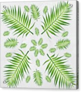 Plethora Of Palm Leaves 21 On A White Textured Background Acrylic Print