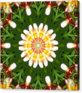 Plumeria Mandala Kaleidoscope Medallion Flower Acrylic Print
