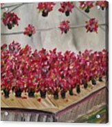 Poinsettia Greenhouse Acrylic Print