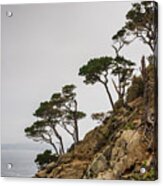 Point Lobos Iii Color Acrylic Print