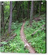Point Trail At Obed 13 Acrylic Print