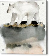 Polar Bear Watercolor Animal Painting Acrylic Print