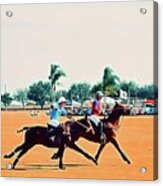 Polo Acrylic Print