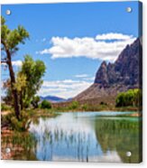 Pond Reflections In Mohave Desert, Nevada Acrylic Print