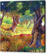 Poppies And Olive Trees Acrylic Print