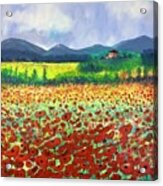 Poppies In Tuscany Acrylic Print