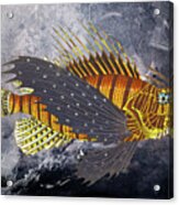Portrait Of A Flying Scorpaena Fish Acrylic Print