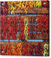 Portuguese Peppers Acrylic Print