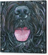 Portuguese Water Dog Mask Acrylic Print