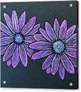 Practice Colored Pencil Daisies Acrylic Print