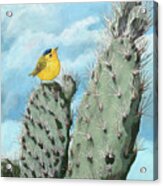 Prickly View - Wildlife Painting Acrylic Print