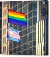 Pride Flag And Trans Flag Acrylic Print