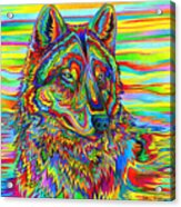 Psychedelic Wolf Acrylic Print
