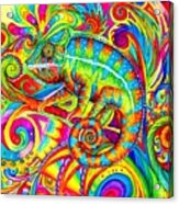 Psychedelizard - Psychedelic Rainbow Chameleon Acrylic Print