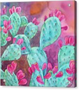 Psychodelic Opuntia Acrylic Print