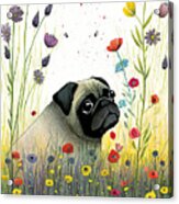 Pug In A Flower Field 3 Acrylic Print