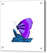 Purple Butterfly Acrylic Print